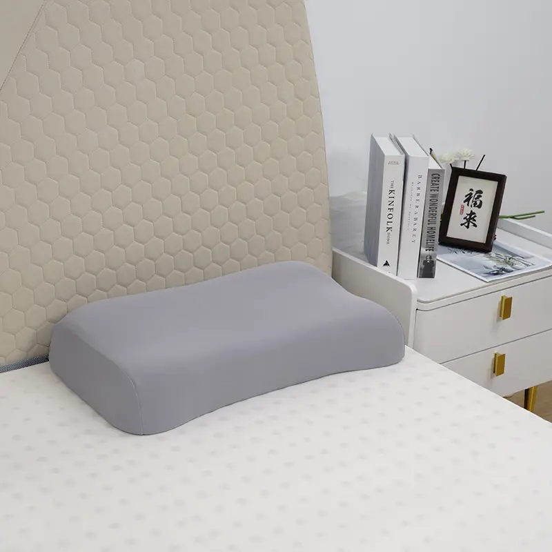 Memory Memory Foam Pillow