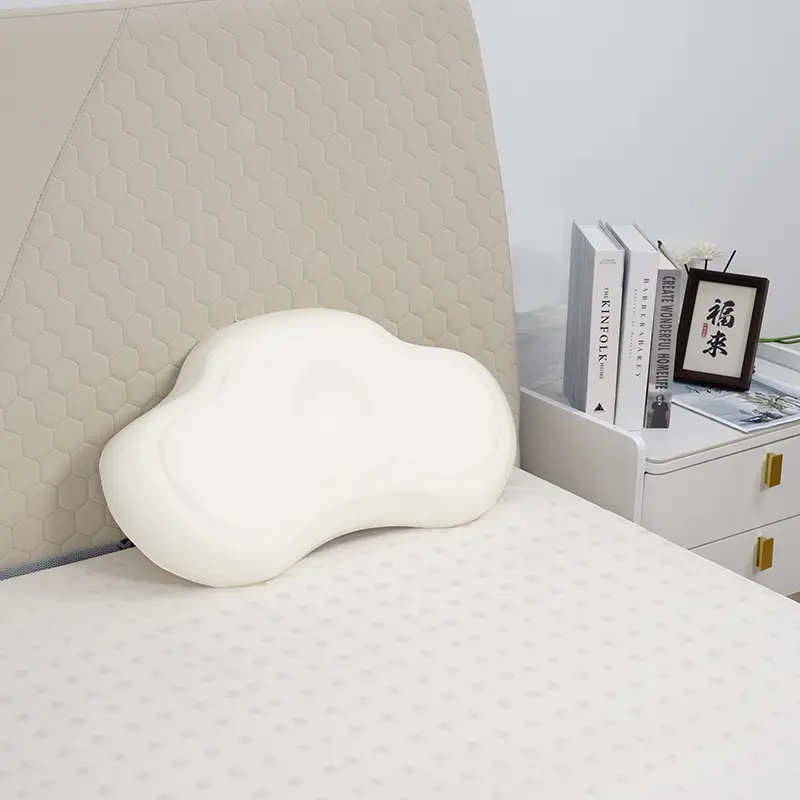 Memory Bread Bread Taybet Foam Pillow